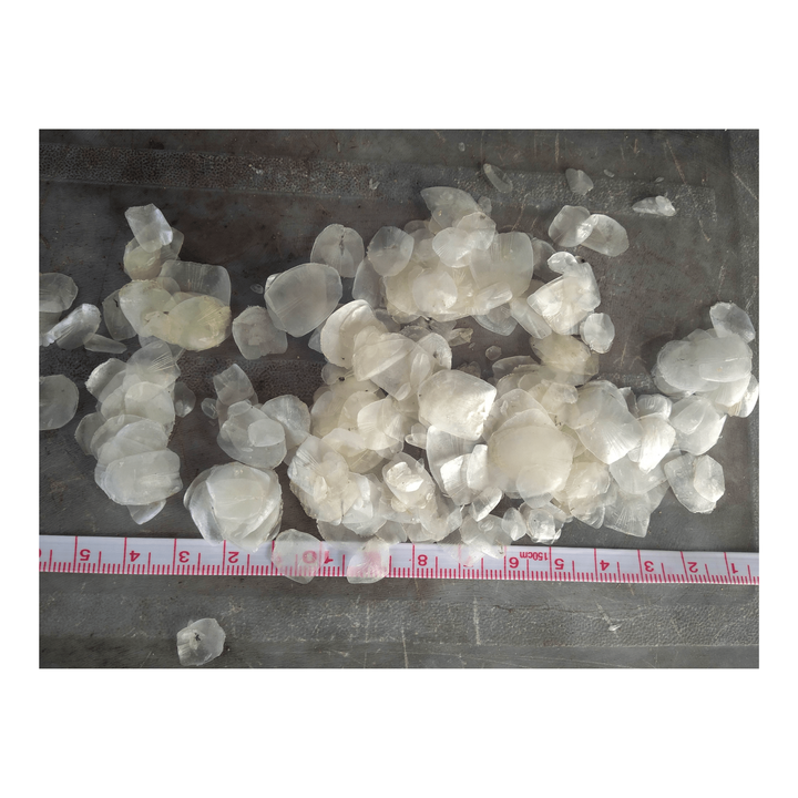 Hot Deal Big Sale Dry Sea Bass Fish Scales for Food Industries Collagen From Vietnam With High Quality And Good Price