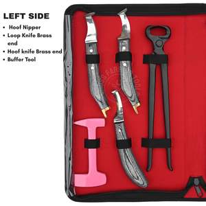 Herramientas para Herrar Caballos, Kit de Mantenimiento de Cascos, Juego de Herramientas de Herrador, Cortador de Cascos Clásico, Cuchillos para Cascos, Herrador, Pulidor, Extractor de Clavos - Product Image 2
