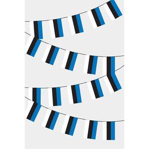 Guirlande de fanions rectangulaires drapeau d'Estonie, impression numérique, en polyester et soie, pour affichage automobile, assurance, éducation - Product Image 1
