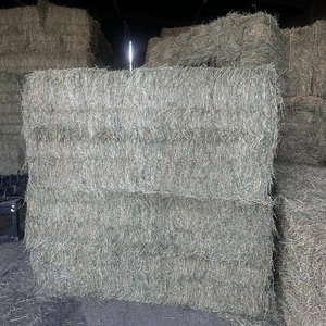 Heno de alfalfa para comercio global, alimento animal rico en proteínas para agricultores y distribuidores internacionales. En venta. - Product Image 6