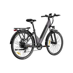 [Reino Unido] Bicicleta Fafrees F28 Pro-178 CM Longitud Total Disponible en Gris Gunmetal Verde Oscuro Titanio Dorado - Product Image 1