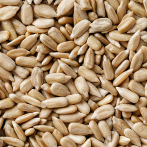Semillas de Girasol Indias Crudas, Grado Confitería 361, Raya Negra, Baja Mezcla, Alto Contenido de Proteína, Frescas 2025, Venta al por Mayor a Granel - Product Image 3