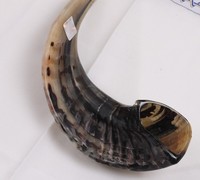 Corne à boire en corne de buffle naturelle sculptée à la main en Inde avec assurance qualité, fabriquée avec amour, logo personnalisé, objet de collection pour mariage
