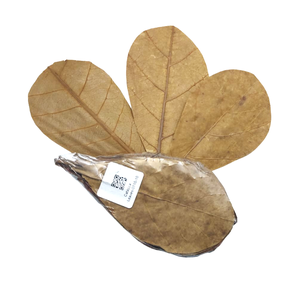 Lot de 50 feuilles en plastique naturel de taille inférieure à 10 \ "/3.93 \" pour aquarium d'amande indienne - Product Image 1