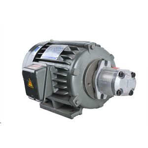 Kompass ปั๊มเกียร์คู่แรงดันสูงพิเศษ - Product Image 2