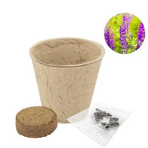 Barattolo di Semi di Limena Biodegradabile, Gadget Ecologico per Regali Promozionali e Aziendali - Product Image 2