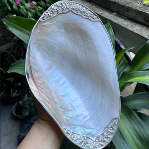 Polished Mother of Pearl <b>Shell</b> | Natural Seashell Material for <b>Jewelry</b> Making and Home Decoration - Product Image 3