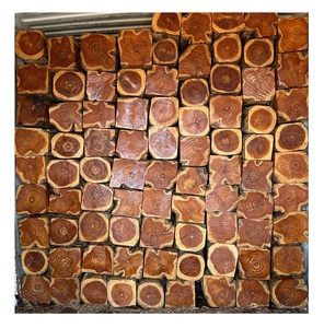 Troncos de Madera de Teca Natural Secos, Madera Dura Redonda para Aserradero y Procesamiento de Madera para Exportación - Product Image 6