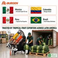 Machine automatique pour sacs en filet d'avocat et de mangue, export de fruits tropicaux, résistante à la rouille, environnement humide, pesage de précision, certifiée CE 30