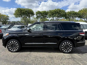 LIMPIA 2022 L l n C o I n N a V L G a t o r B l a c K Labl - Product Image 5