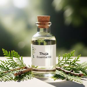 Huile essentielle de thuya naturelle Huile de feuille de cèdre de qualité thérapeutique pour la croissance des cheveux OEM Private Label Exportateur - Product Image 5