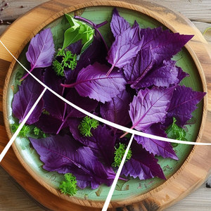 Fournisseur en gros d'arôme naturel de perilla de qualité alimentaire <span class=keywords><strong>pour</strong></span> additif alimentaire - Product Image 5