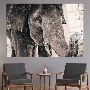 Elegante Impresión en Lienzo de Elefante en Vidrio Templado: Arte Animal Moderno, ARTE EN VIDRIO TEMPERADO - Product Image 1