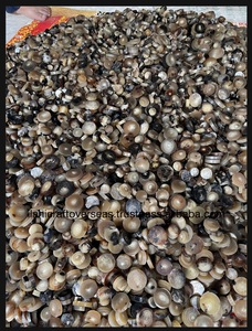 เสื้อโค้ทกางเกงยีนส์แฟชั่นงานทำมือกระดุมทรงกลมแท้ทรงเขาควายธรรมชาติสำหรับเสื้อผ้า - Product Image 4