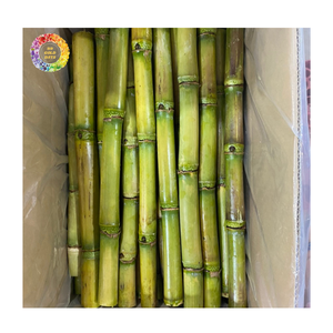 Frozen Sugarcane Juice <b>Concentrate</b>, IQF Sugarcane Sticks Used for Beverage and Smoothie, Frozen Sugarcane Juice - Product Image 2