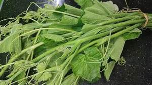 PURAS DE CALABAZA CONGELADAS NATURALES PURAS ETIQUETA LIMPIA VEGETAL VERDE A BASE DE PLANTAS ALIMENTOS PARA EXPORTACIÓN - Product Image 5