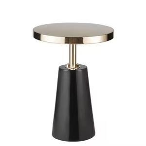 Table basse élégante pour l'intérieur et l'extérieur Table d'appoint à cadre en métal fini brillant Meubles de décoration pour le salon Hall d'entrée - Product Image 3