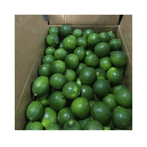 Citron vert frais sans pépins citron frais sans pépins du Vietnam nouvelle récolte de haute qualité et à bon prix - Product Image 2