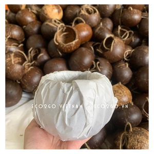 ¡Buena elección para el jardín 2025! Maceta de coco/Maceta de coco y maceta de Eco2go Vietnam - Product Image 4