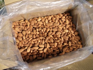 Grade 10-20 kg Nuts and Kernels From California Clean Unshelled <b>Almond</b> Kernels for Food |delicious Snacks Roasted <b>Almond</b> Nuts| - Product Image 2
