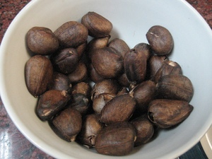 Good Quality Breadnuts for Sale - Product Image 4