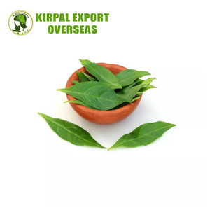 Lavarsh น้ำยาย้อมผมแบบกึ่งถาวรสีเขียวออแกนิก - Product Image 4