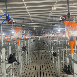 Jaulas para cerdos en gestación de acero inoxidable de Vietnam Fabricante Venta caliente jaulas para cerdos en gestación - Product Image 2