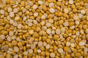 Chana Dal Bengal Premium, Lista para Comer, Crujiente, Saludable, Rica en Proteínas, Tamaños de Empaque Personalizables, Calidad - Product Image 4