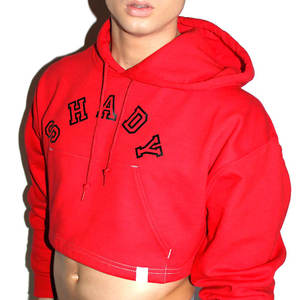 Haute qualité 100% coton Polyester recadrée sweats à capuche haut à la mode vêtements d'hiver teint en plaine avec une faible quantité minimale de commande - Product Image 1