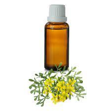 Producto en Oferta |   Aceite Esencial de Ru Natural Puro del Norte de la India para Difusor, el Mejor para Cosméticos y Masajes, Grado Premium en India - Product Image 5