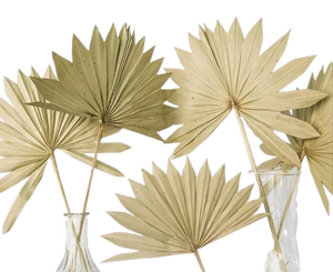 Palm Leaves Spear Natural Palm Leaves Palm Spear Mother S Day <b>Valentine</b> S Day Christmas Thanks Gifts for Every Time - Product Image 2