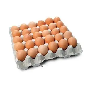 Huevos de gallina frescos/huevos de mesa redonda/huevos fértiles para incubar a un precio barato.