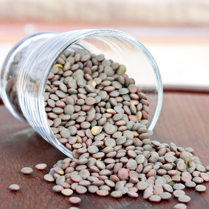 Lentejas secas ricas en nutrientes disponibles para compradores mayoristas Lentejas a granel con calidad constante - Product Image 1