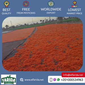 Premier exportateur de vente en gros de haute qualité 100% pétales de calendula de thé aromatisé naturel sain/pétales de souci - Product Image 3