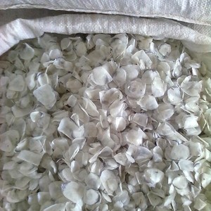 Échelle de poisson exquise Épicure Délicate Échelle de mer Gastronomie - Product Image 1