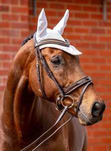 Bride équestre avec bande de front en cristal doucement doublée, pierre de strass ondulée avec matériel en acier inoxydable - Product Image 2