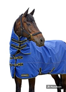 À VENDRE Tapis de cheval à col haut 600D 1200D 1680D TAPIS DE CHEVAL D'HIVER VIOLET EN DOLLAR 15 5'3 5'6 5'9 6'0 6'3 6'6 6'9 7'0 - Product Image 4