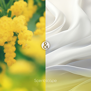 ธูปหอมญี่ปุ่น ScentScape-Nippon Kodo กลิ่นมิโมซ่าและไวท์มัสค์ 30 แท่ง - Product Image 4
