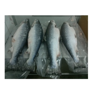 ซัพพลายเออร์ราคาถูกจากเนเธอร์แลนด์ ปลาแซลมอนสด/แช่แข็ง ราคาขายส่ง พร้อมจัดส่งรวดเร็ว - Product Image 3