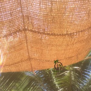 Coir Geotextile Coconut Fiber Mesh Coco <b>Mat</b> <b>Roll</b> Eco Friendly Hand Twisted Coir Twine Logs Slope Hill Road Soil Erosion Coir Geo - Product Image 3
