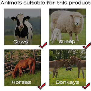 Harga pemasok produsen bel sapi hitam 3 inci Promosi bel sapi balap lonceng sapi sapi suvenir pernikahan bel sapi - Product Image 6