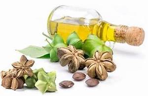 PURE SACHA INCHI SUPERALIMENTS GRAINES RICHES EN OMEGA TROIS SIX NINE POUR LE SOUTIEN DU SYSTÈME IMMUNITAIRE ET LA SANTÉ CARDIAQUE - Product Image 6