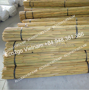 Meilleure vente de piquets en bambou / Canes en bambou / Piquets de jardin en bambou pour le soutien des plantes de jardin au Vietnam - Product Image 4