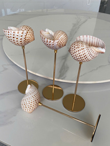 แก้วไวน์เปลือกหอยสำหรับตกแต่งทำด้วยมือในเวียดนามรายละเอียดเปลือกหอยสำหรับงานที่มีระดับของขวัญแก้วไวน์เปลือกหอย - Product Image 4