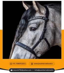 Venta al por mayor, brida plegable anatómica, ajustable, cuero genuino, producto de caballo a la venta - Product Image 3