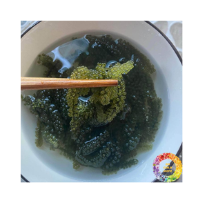 Raisins de mer séchés aux algues de qualité supérieure Caulerpa Lentillifera Seagrape déshydrater le produit d'exportation de qualité pour l'approvisionnement en gros - Product Image 4