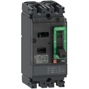 Interruttore Automatico Schneider Electric C10F2TM050 ComPacT NSX100F AC/DC 18kA/415VAC con Unità di Disarmo TMD da 50A 2-Polari - Product Image 1