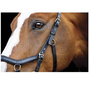 Selle anglaise confort ultime Design anatomique de qualité supérieure Boucle de fixation en laiton en cuir Delta Bridle Halters Rub - Product Image 4