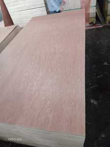 ไม้อัดเชิงพาณิชย์ แกนไม้ยูคาลิปตัสผสมไม้เนื้อแข็งอะคาเซีย หน้าไม้ลายบินตังกอร์ทันสมัย พร้อมการรับประกัน 1 ปี สำหรับใช้ในอพาร์ตเมนต์ - Product Image 3