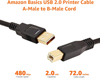 Kabel AV dengan Pelindung Foil & Braid, Konektor Berlapis Emas, Selubung PVC 6/10/16 kaki untuk Monitor dan Komputer
